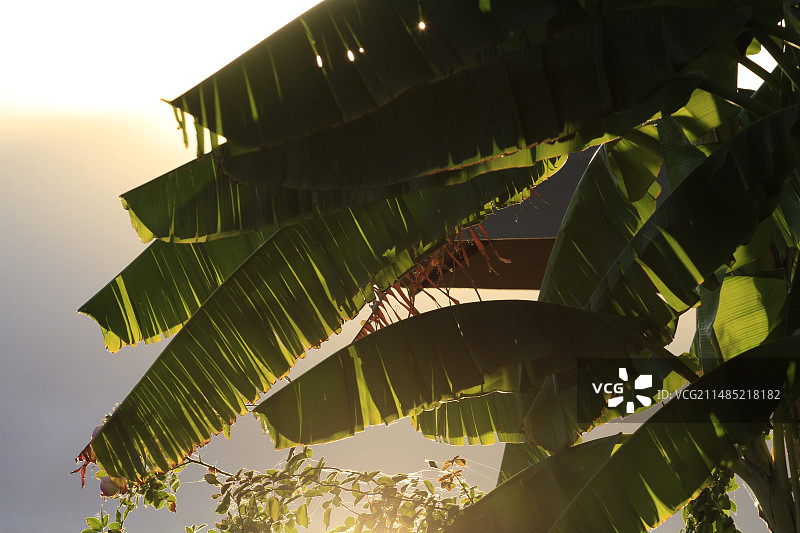 双廊美景/南诏风情岛图片素材