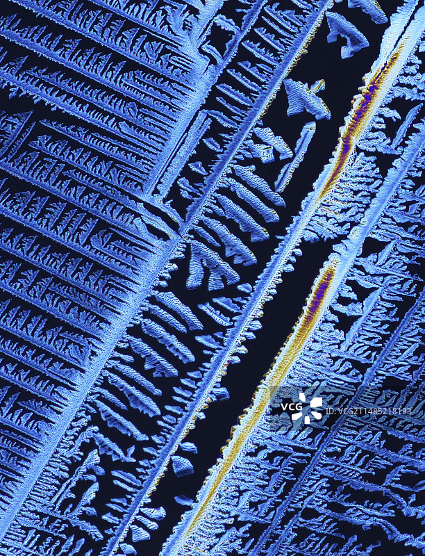 雌二醇，女性性激素，PLM图片素材