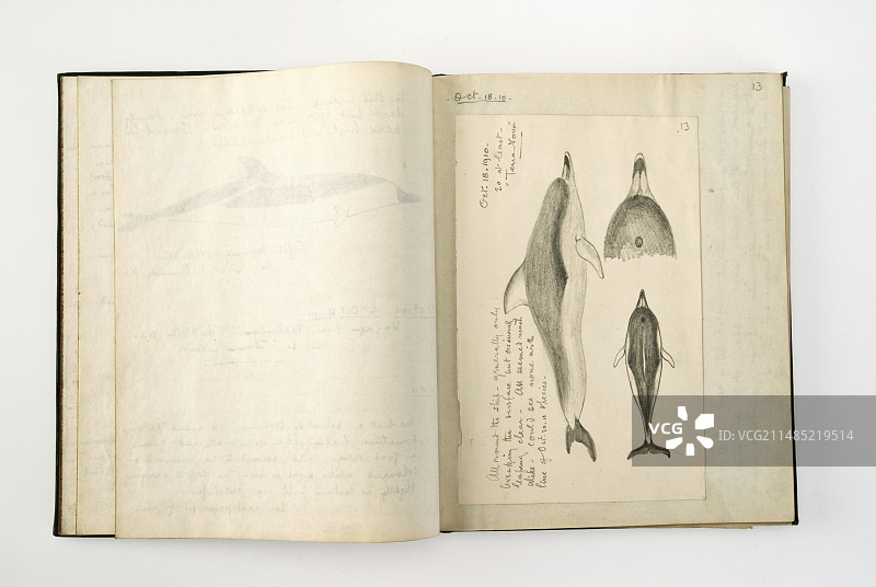 新地探险笔记本图片素材