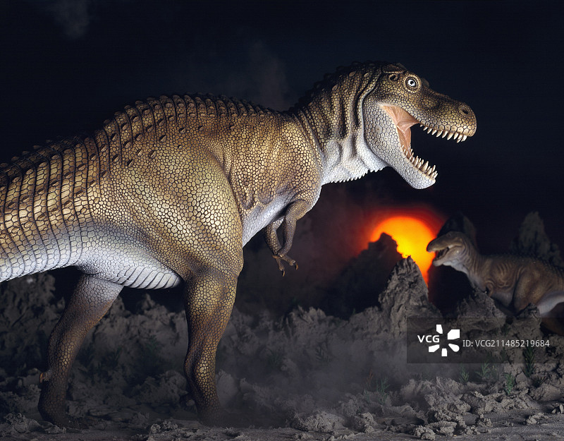 霸王龙模型图片素材