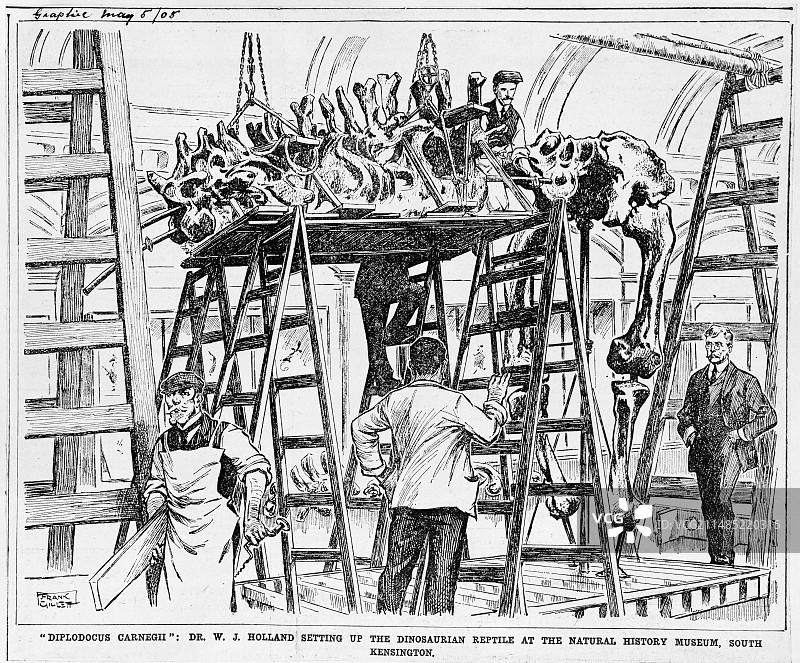 1905年的自然历史博物馆梁龙图片素材