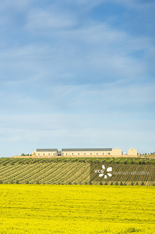 南非农场图片素材