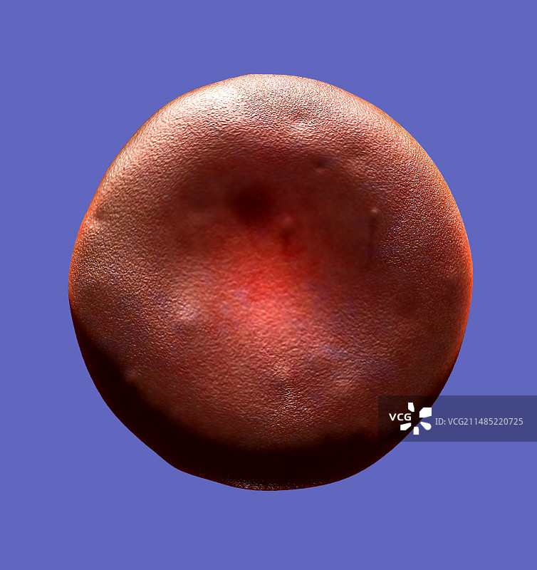 红细胞，艺术作品图片素材