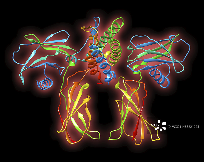 促红细胞生成素激素复合物图片素材