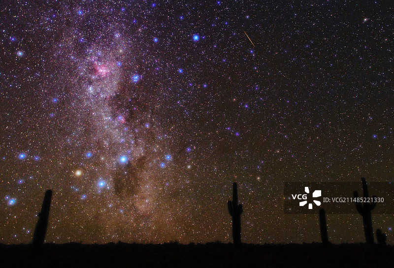 阿塔卡马沙漠的银河与仙人掌图片素材