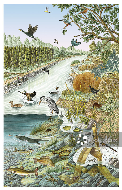 欧洲河流生活，艺术作品图片素材