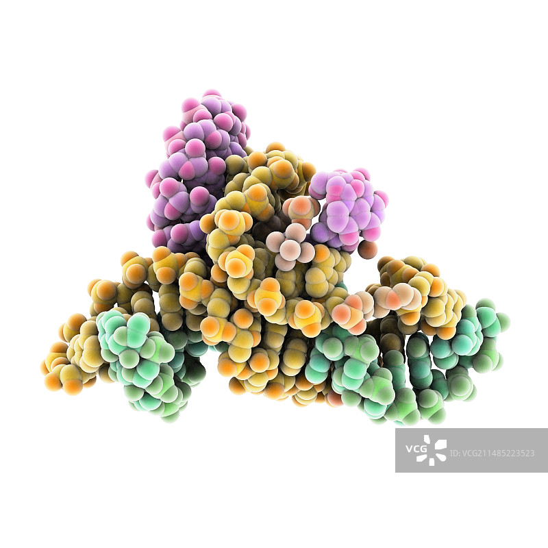 核酶和RNA图片素材