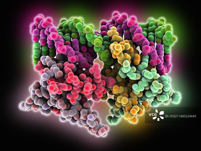 细菌转录因子分子图片素材