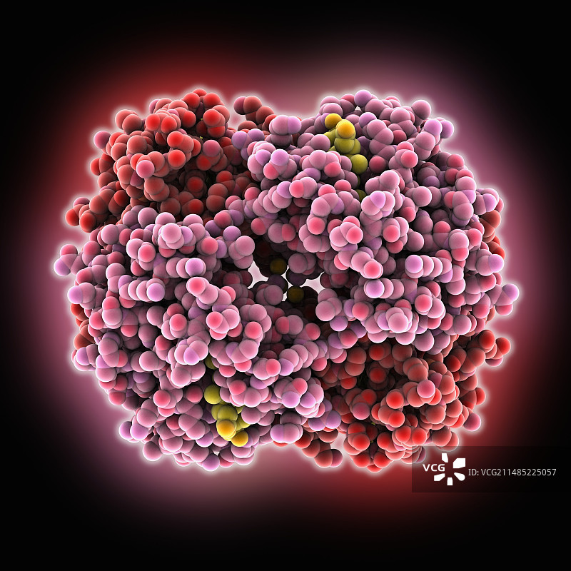 血红蛋白分子模型图片素材