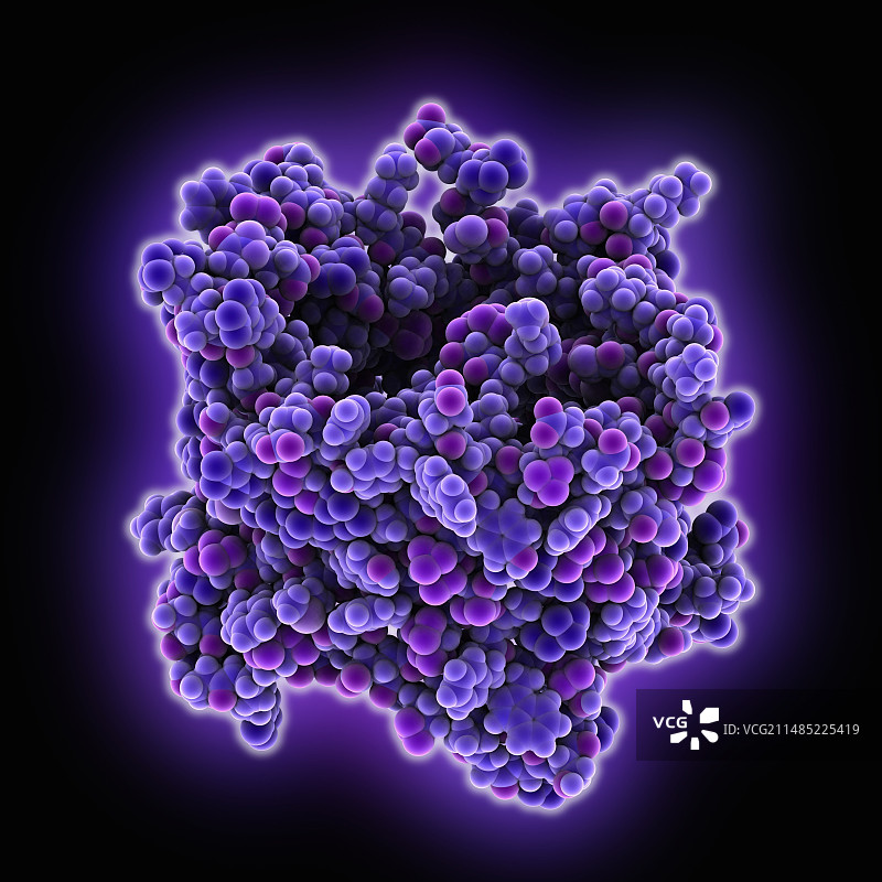 VDAC-1离子通道蛋白图片素材