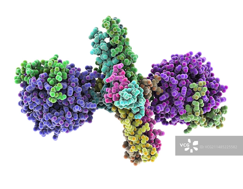 凝血酶与纤维蛋白原复合物图片素材