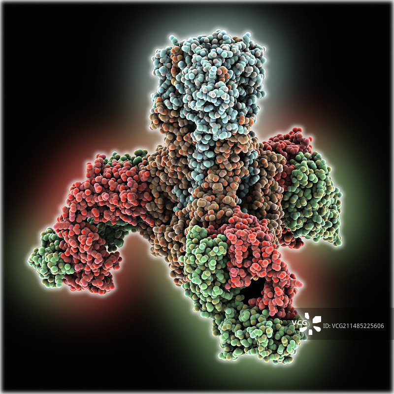 血凝素病毒表面蛋白图片素材