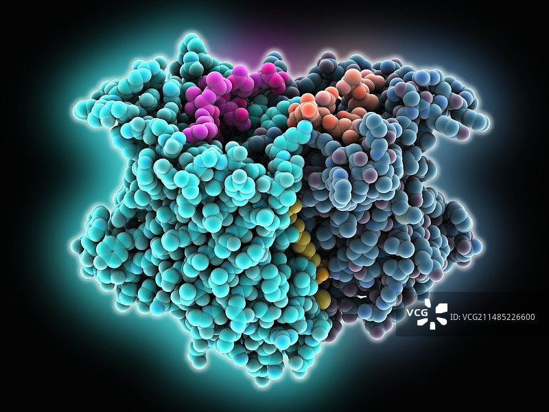 外膜磷脂酶A分子图片素材