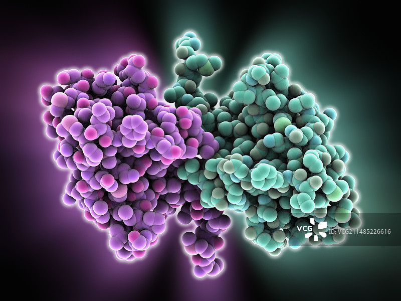 流感病毒蛋白域图片素材