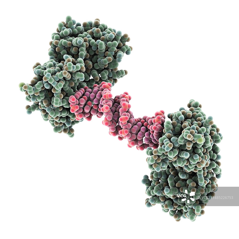 HIV-1聚嘌呤序列分子模型图片素材
