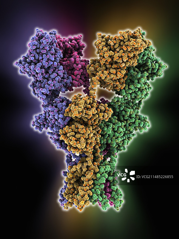 离子型谷氨酸受体图片素材