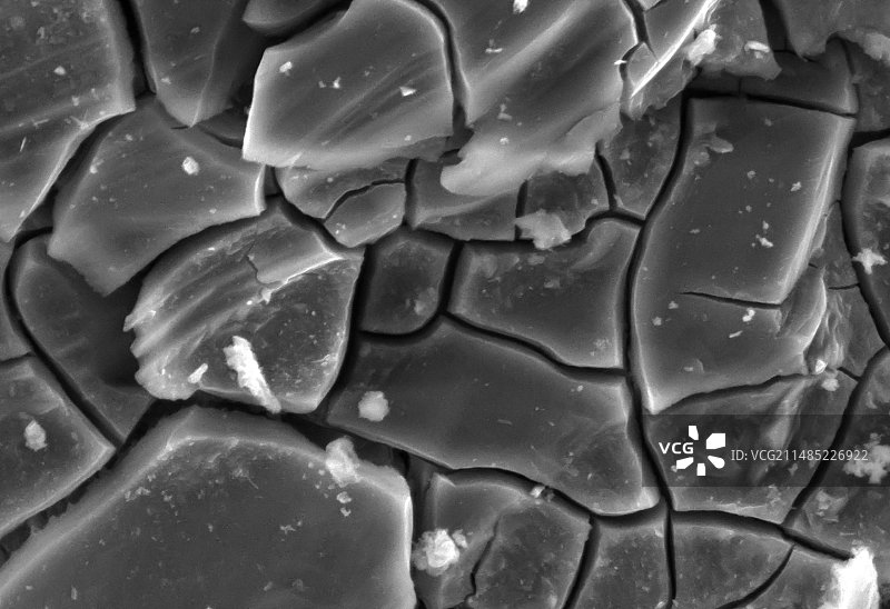 受损的混凝土，扫描电子显微镜图图片素材