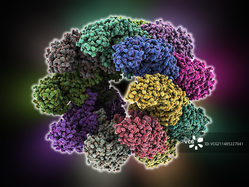 伴侣蛋白折叠图片素材