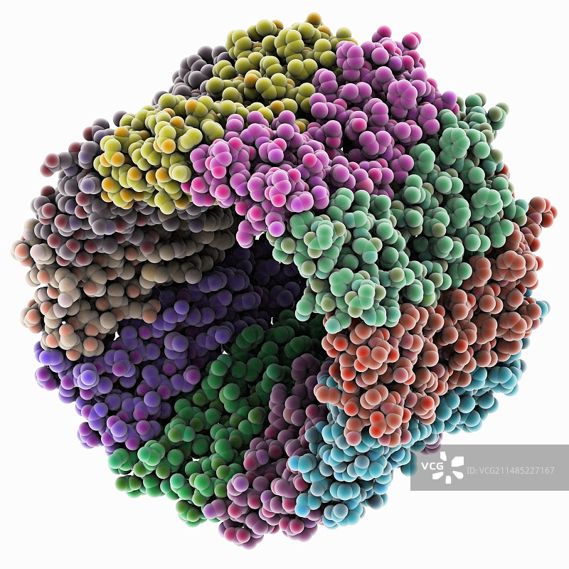 钠V-ATPase转子环图片素材