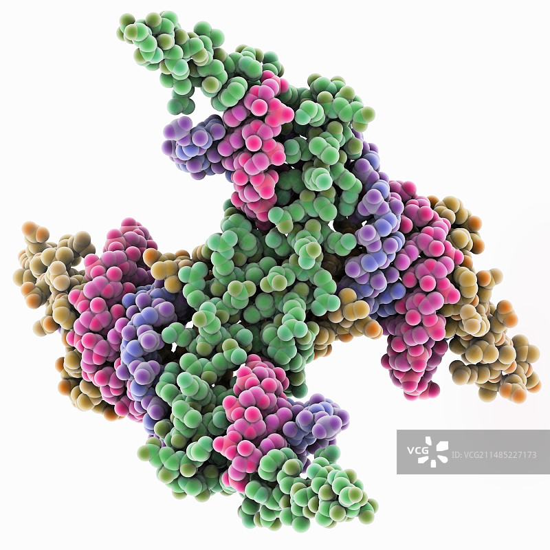 病毒RNA干扰复合物图片素材