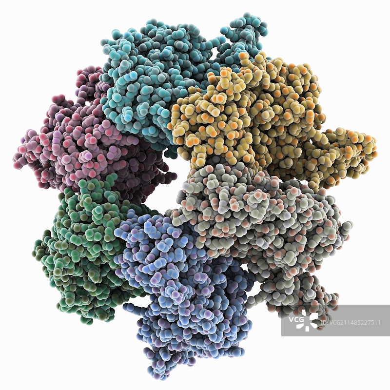 DNA转位酶分子模型图片素材