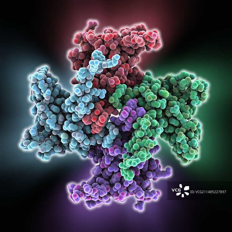 线粒体RNA结合蛋白图片素材