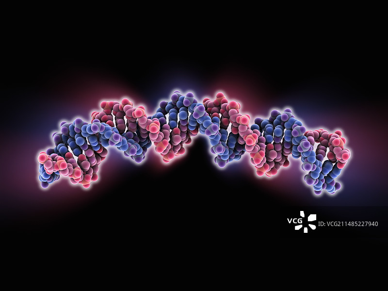 DNA分子模型图片素材