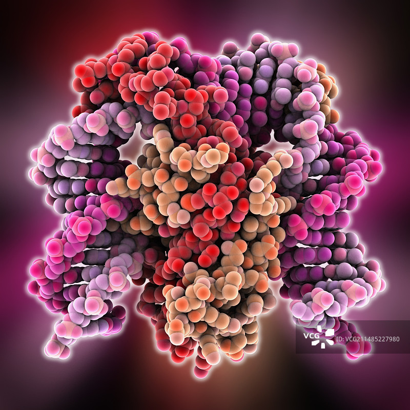 DNA弯曲蛋白分子模型图片素材