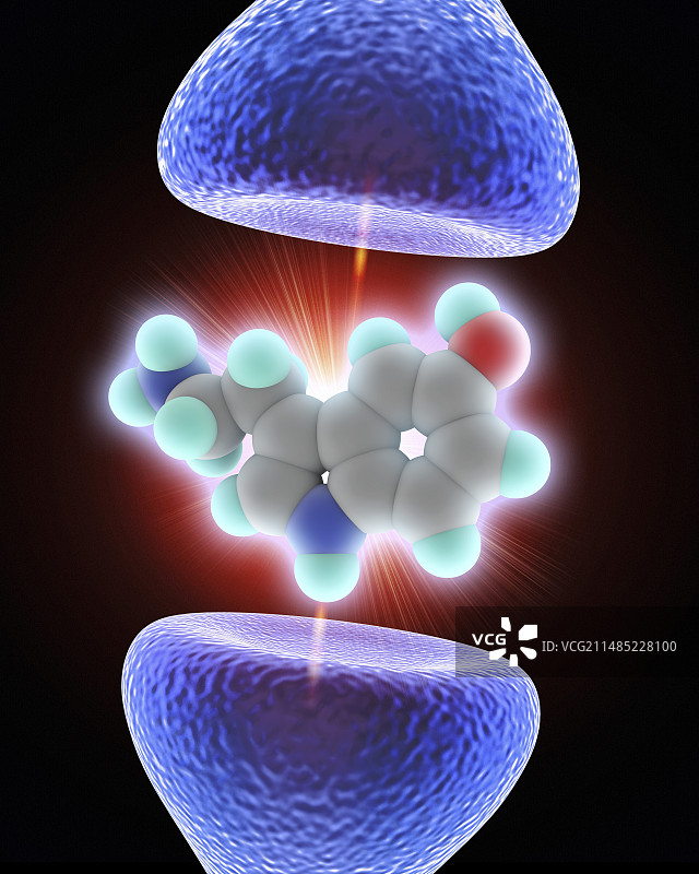 神经突触和血清素分子图片素材