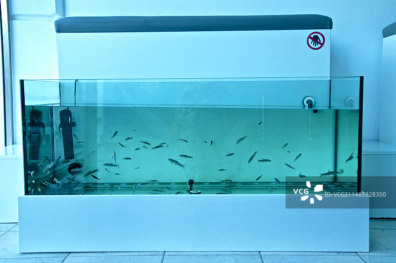 鱼疗池图片素材