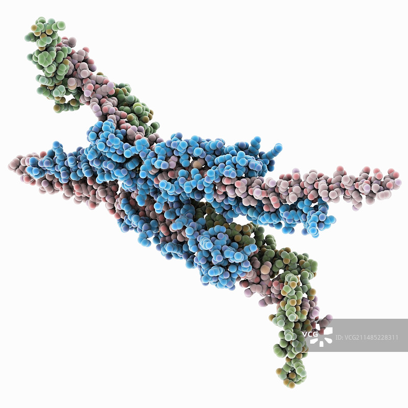 ATP酶分子图片素材