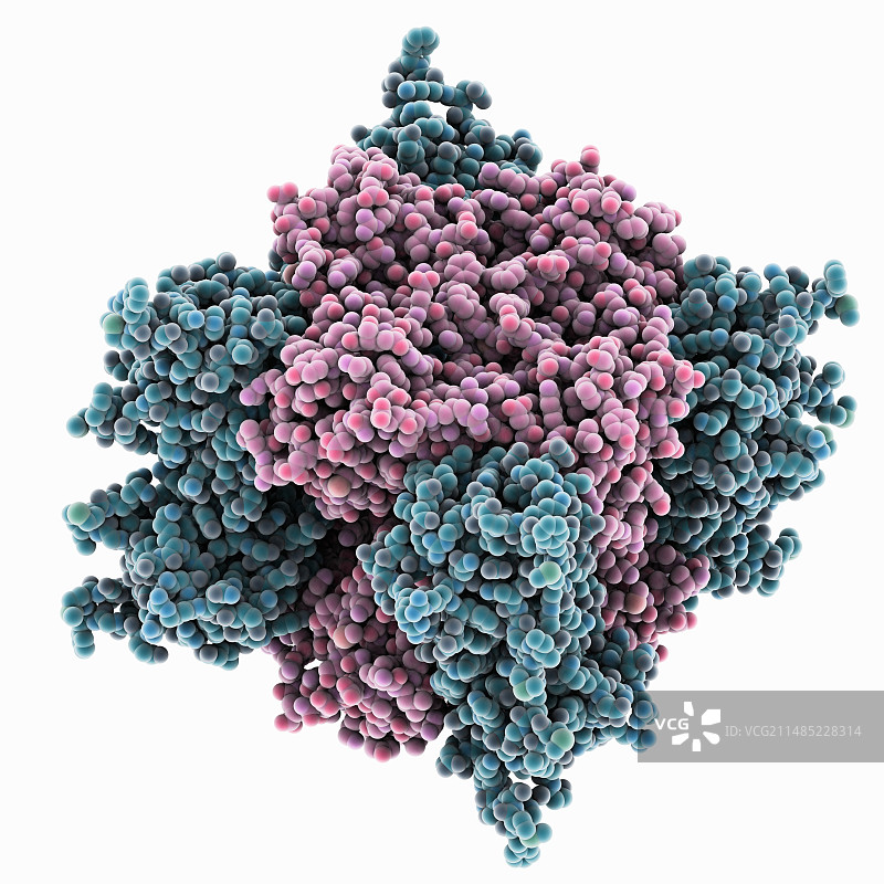 动力蛋白酶分子模型图片素材