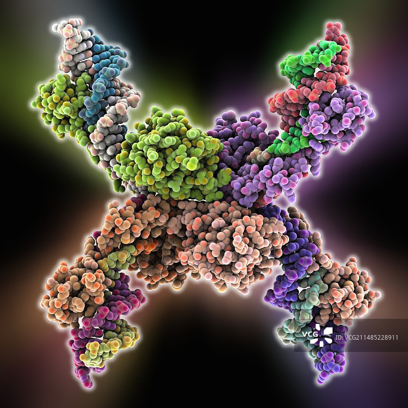 分解酶与DNA复合物图片素材