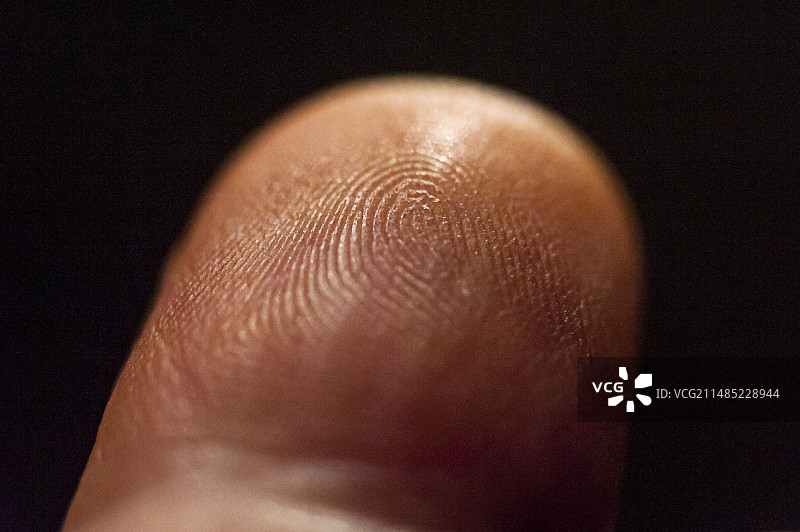 指尖上的皮纹图片素材