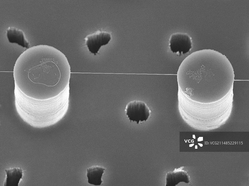 硅纳米柱上的DNA束,SEM图片素材