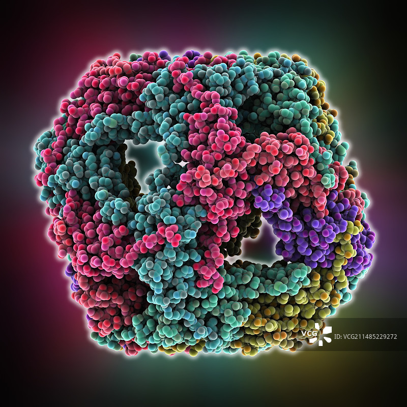小热休克蛋白图片素材