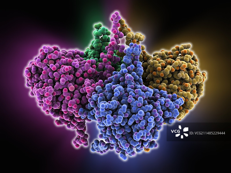 甘氨酸甲基转移酶分子图片素材