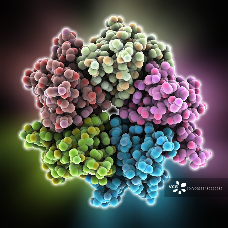 核质体分子图片素材