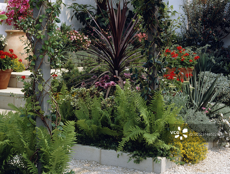 展示带有台阶和砾石的花园图片素材