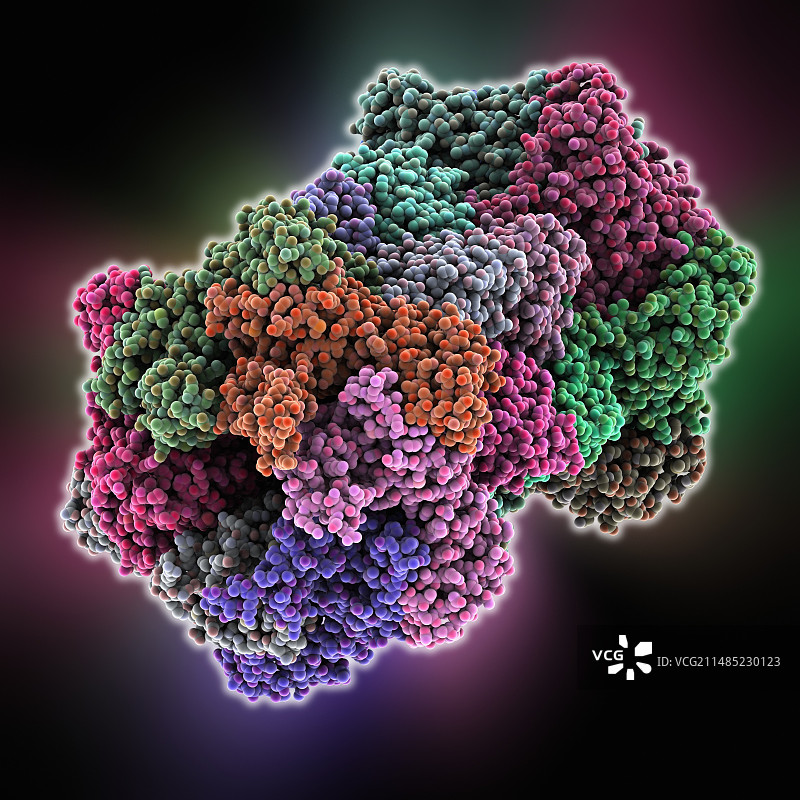 细菌蛋白酶分子图片素材