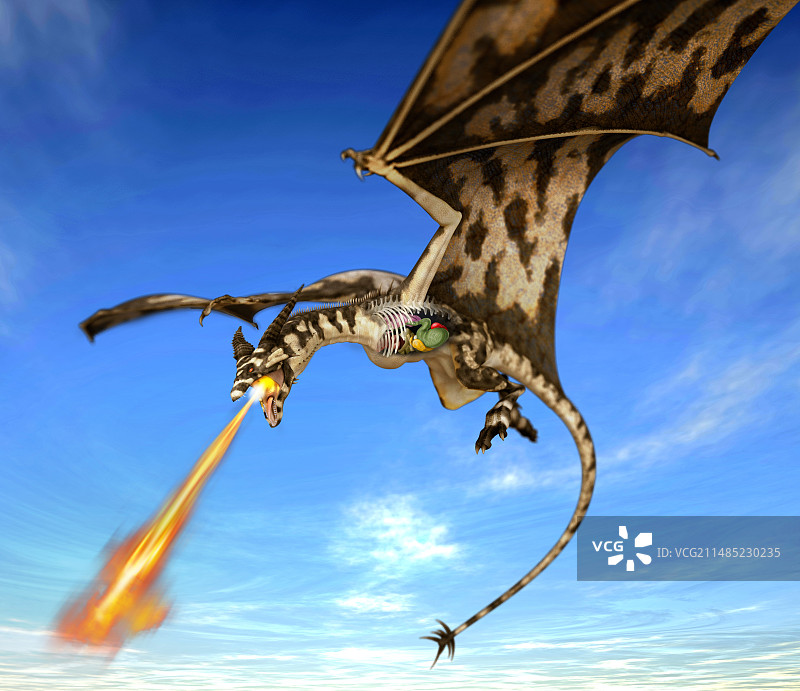 龙的解剖结构艺术作品图片素材