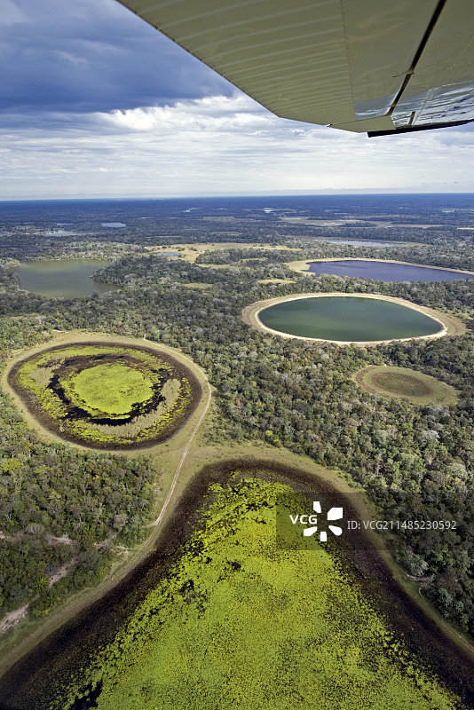 巴西潘塔纳尔湿地图片素材