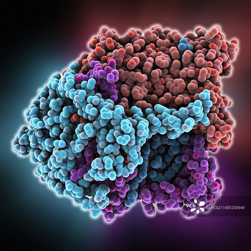 紫色细菌光合作用中心图片素材