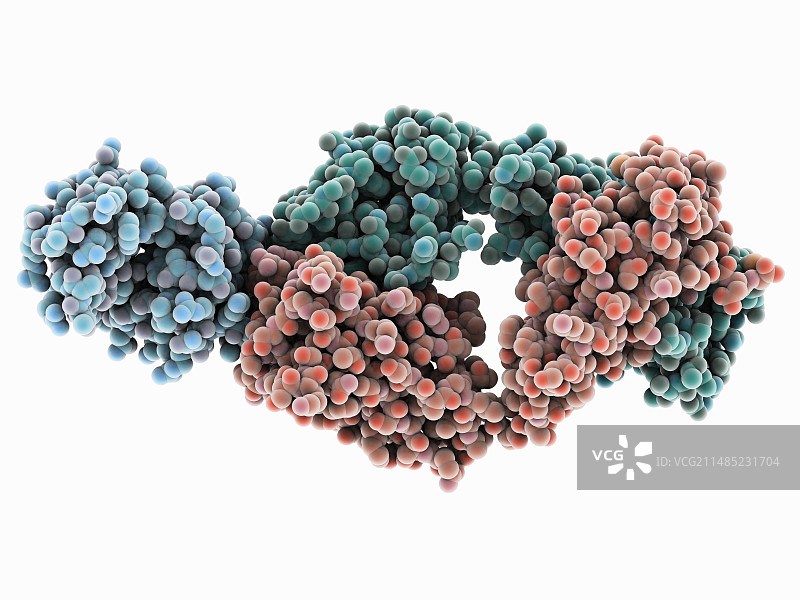 抗体片段-溶菌酶复合物图片素材