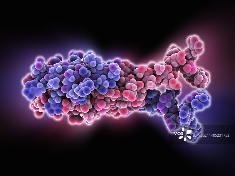 H-NS染色质结构蛋白图片素材