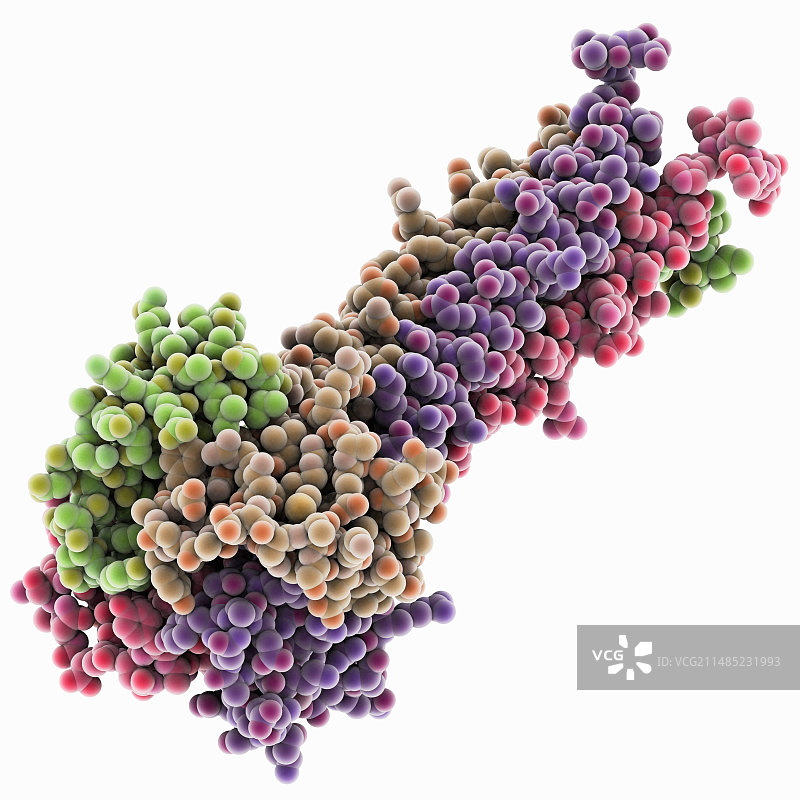 仙台病毒磷蛋白图片素材