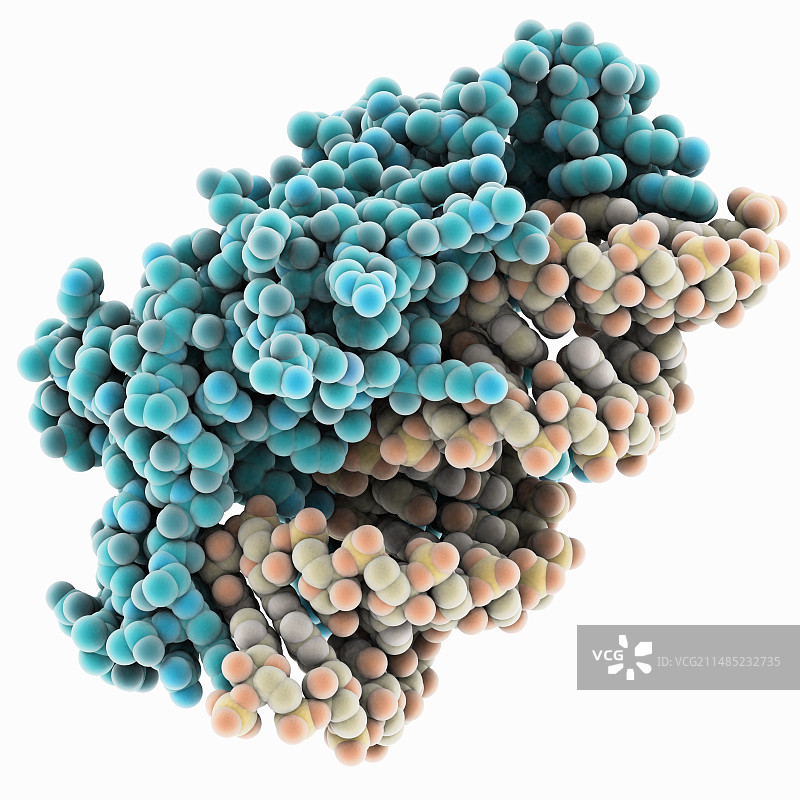 RNA干扰病毒抑制因子和RNA图片素材