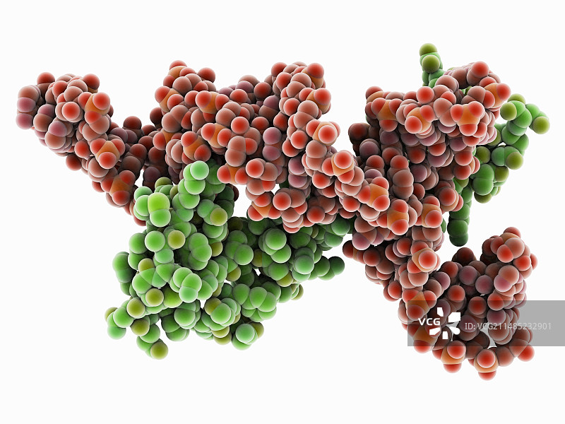 转录因子和核糖体RNA图片素材