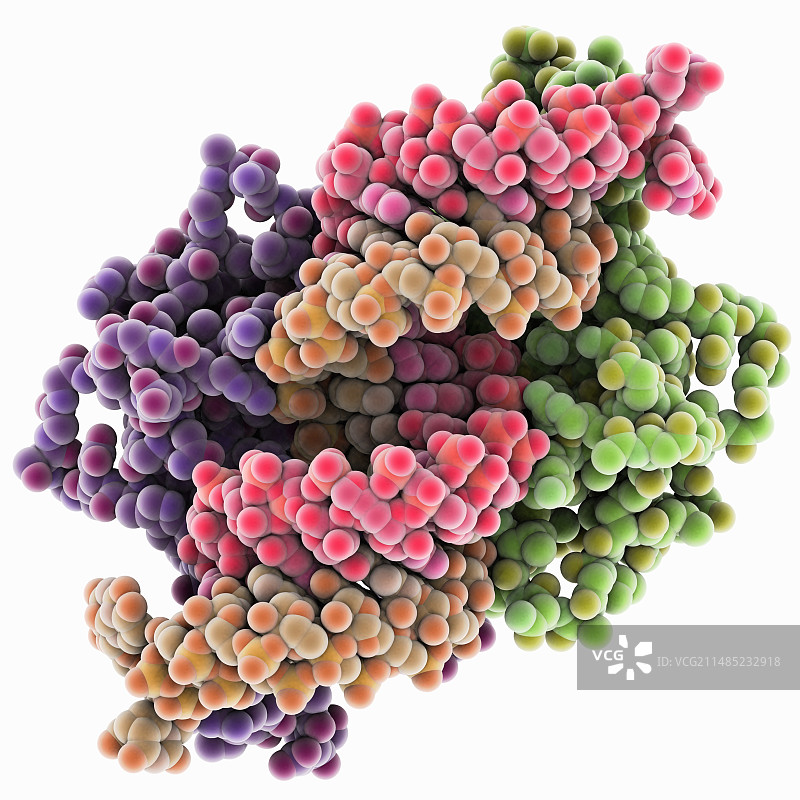 RNA干扰病毒抑制因子和RNA图片素材