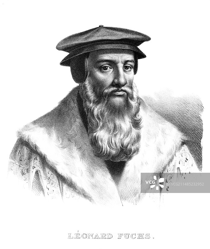 德国植物学家莱昂哈特·福克斯图片素材